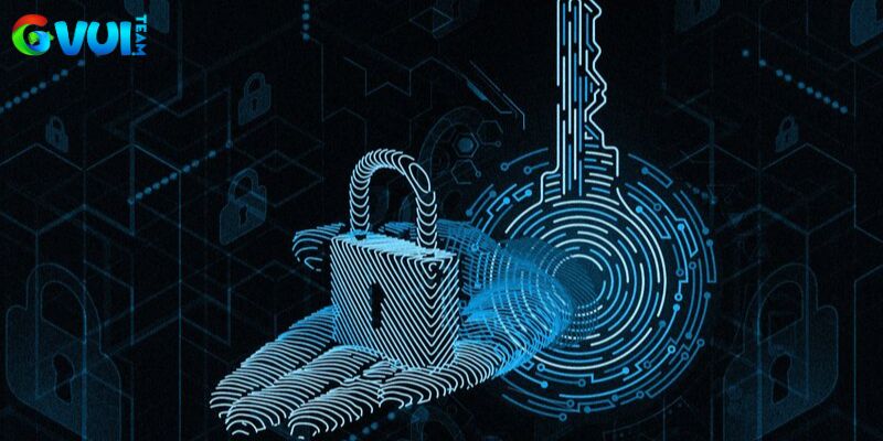 Các vấn đề chính tại quyền riêng tư